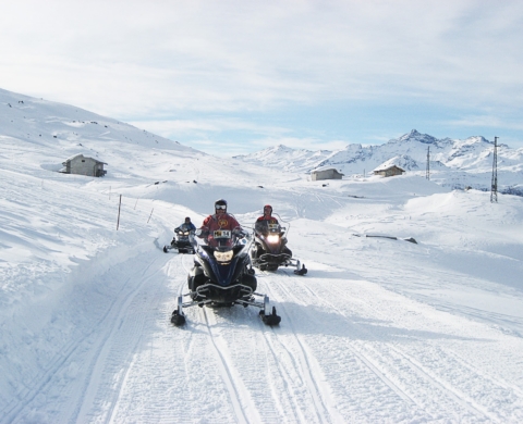 MIT HELI UND HUSKY